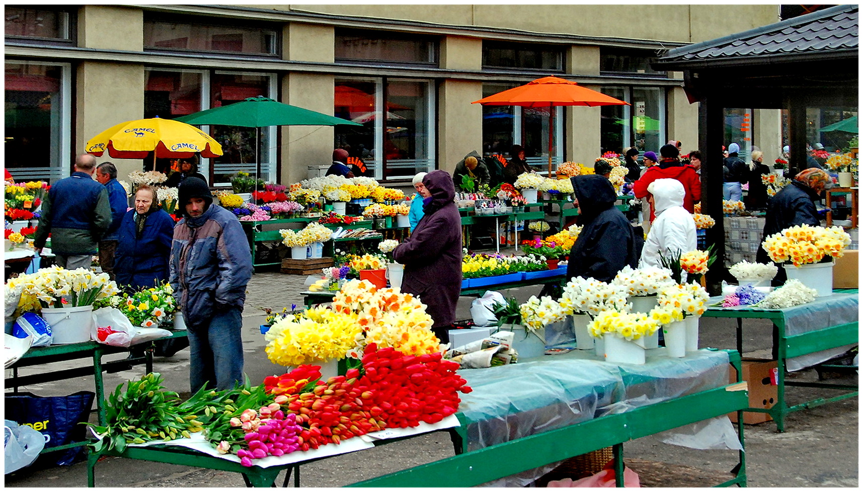 Riga Market