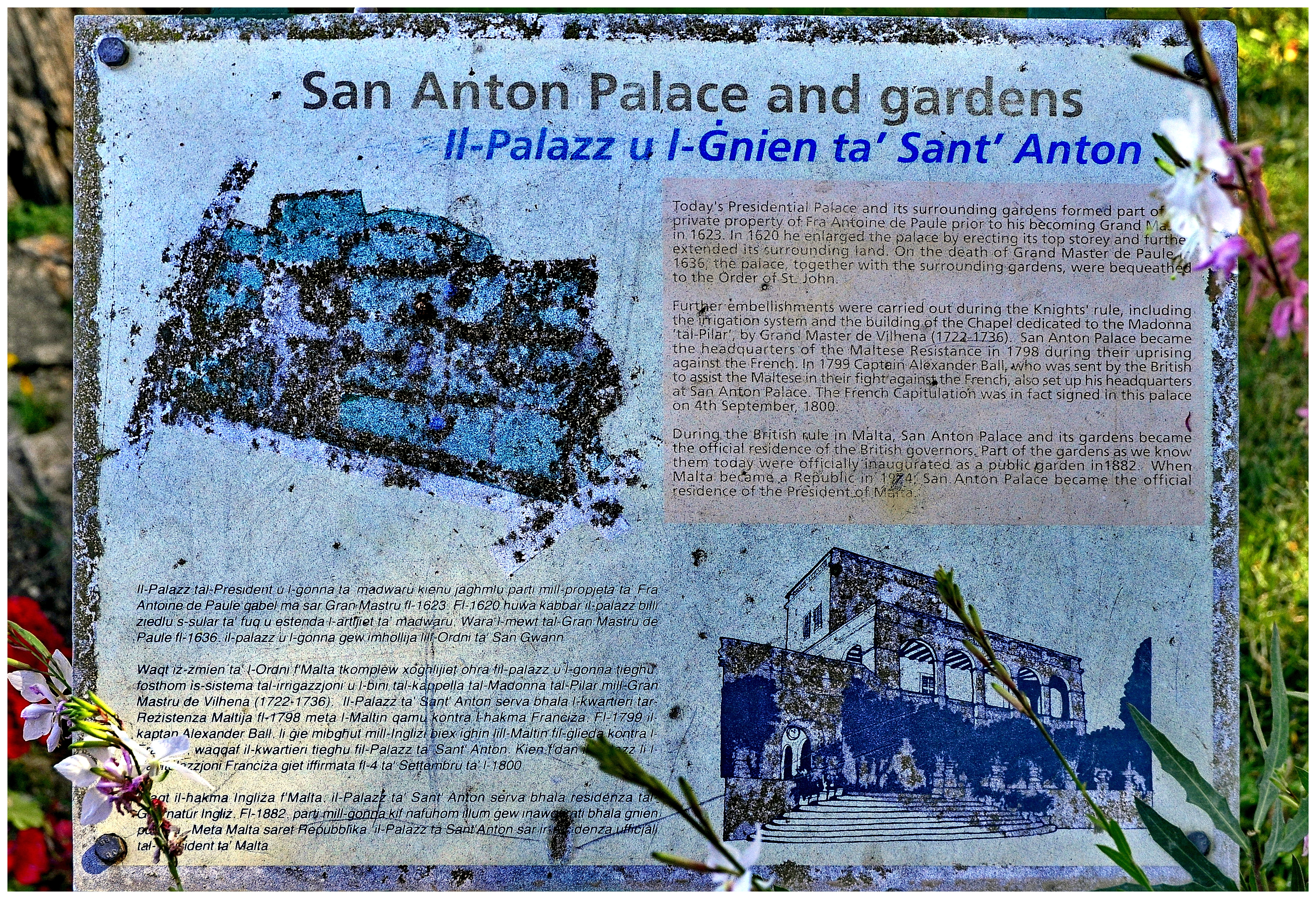 San Anton Garden