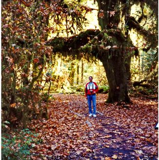 Olympic Peninsula