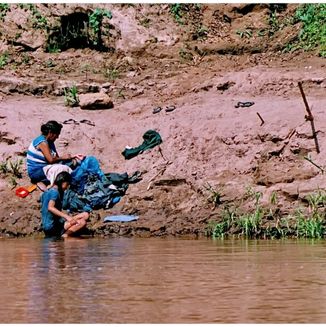 Amazonas Jungle