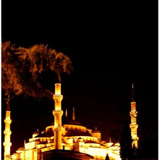 Blue Mosque-01