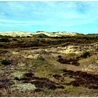 Denmark West Coast