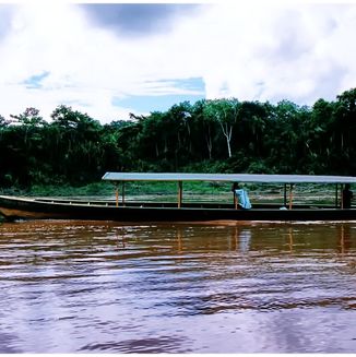 Amazonas Jungle