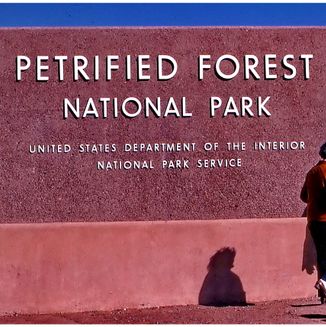 Petrified Forest