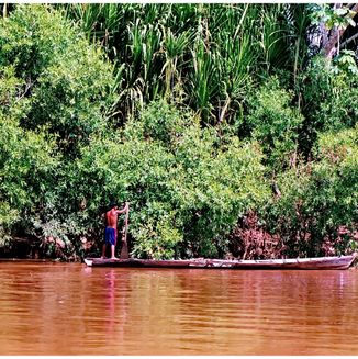 Amazonas Jungle