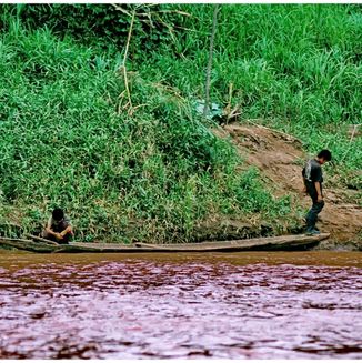 Amazonas Jungle