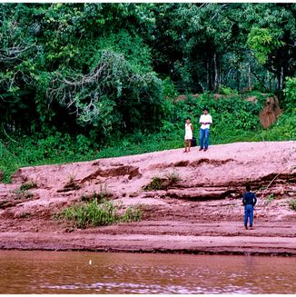 Amazonas Jungle