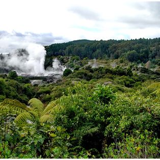 New Zealand