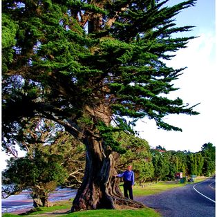 New Zealand