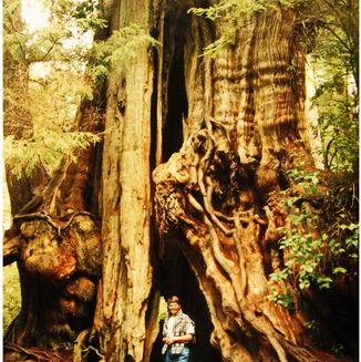 Olympic Peninsula