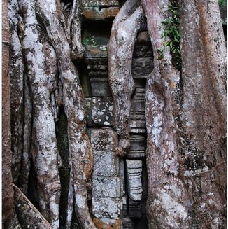 Ta Prohm