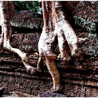 Ta Prohm