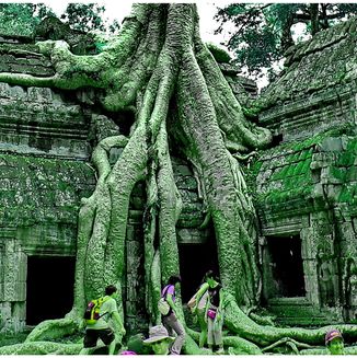 Ta Prohm