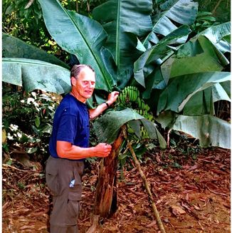 Amazonas Jungle