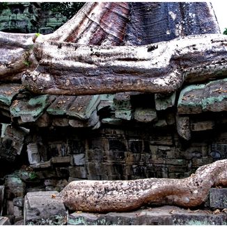 Ta Prohm