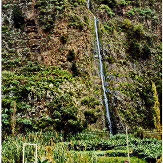 Madeira South Coast