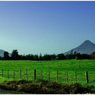 New Zealand