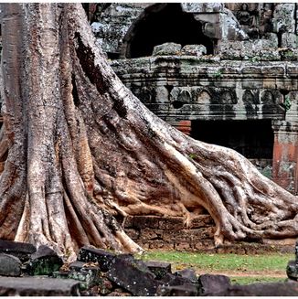 Ta Prohm