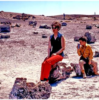 Petrified Forest